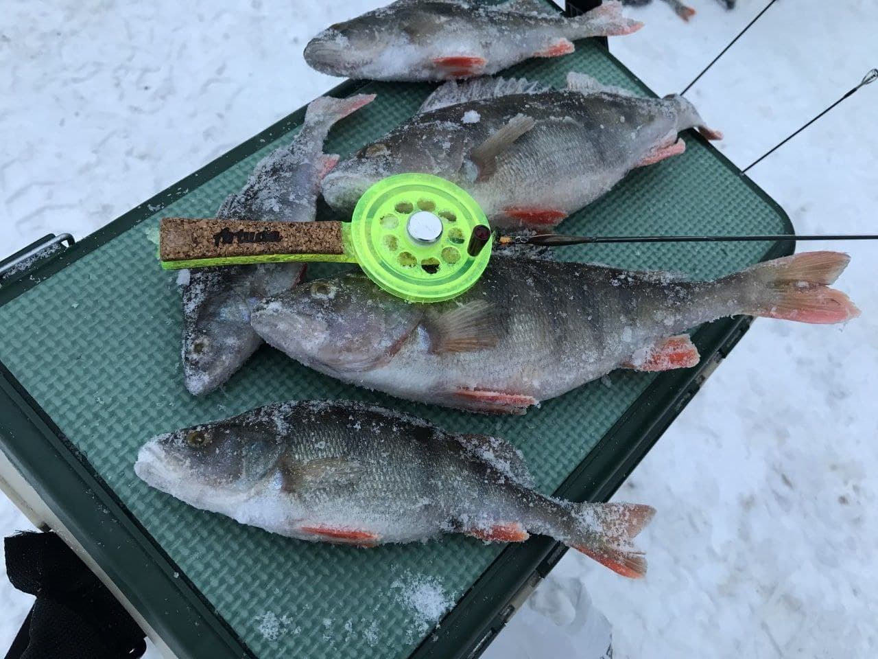 Зимняя рыбалка на плотву и поиск рыбы со льда – советы и техники